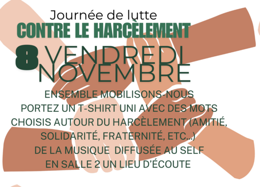 Flyer Lutte Harcèlement.png