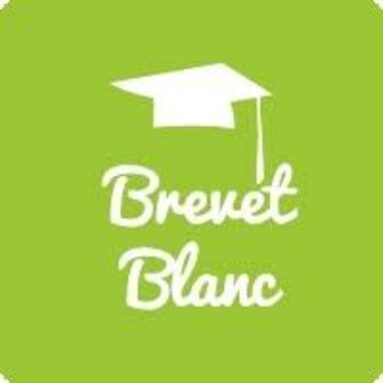 brevet blanc.jpg